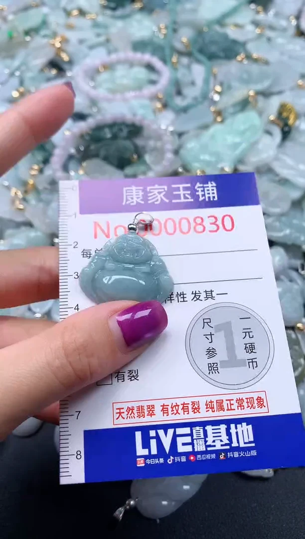颈饰未镶嵌翡翠830