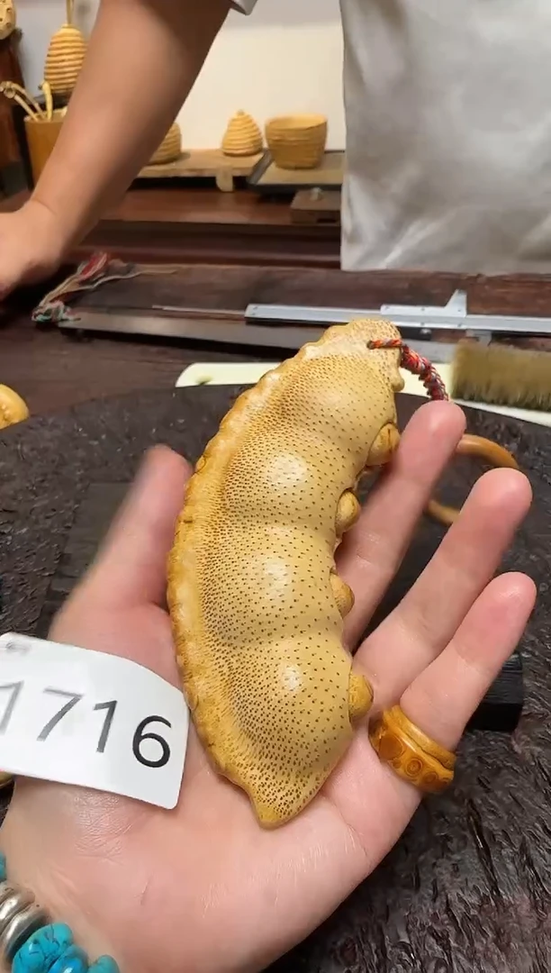 竹1716竹根竹根竹根豆
