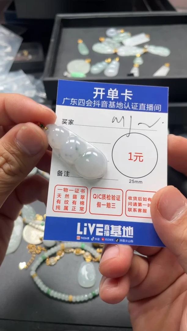 颈饰未镶嵌翡翠M*挂件