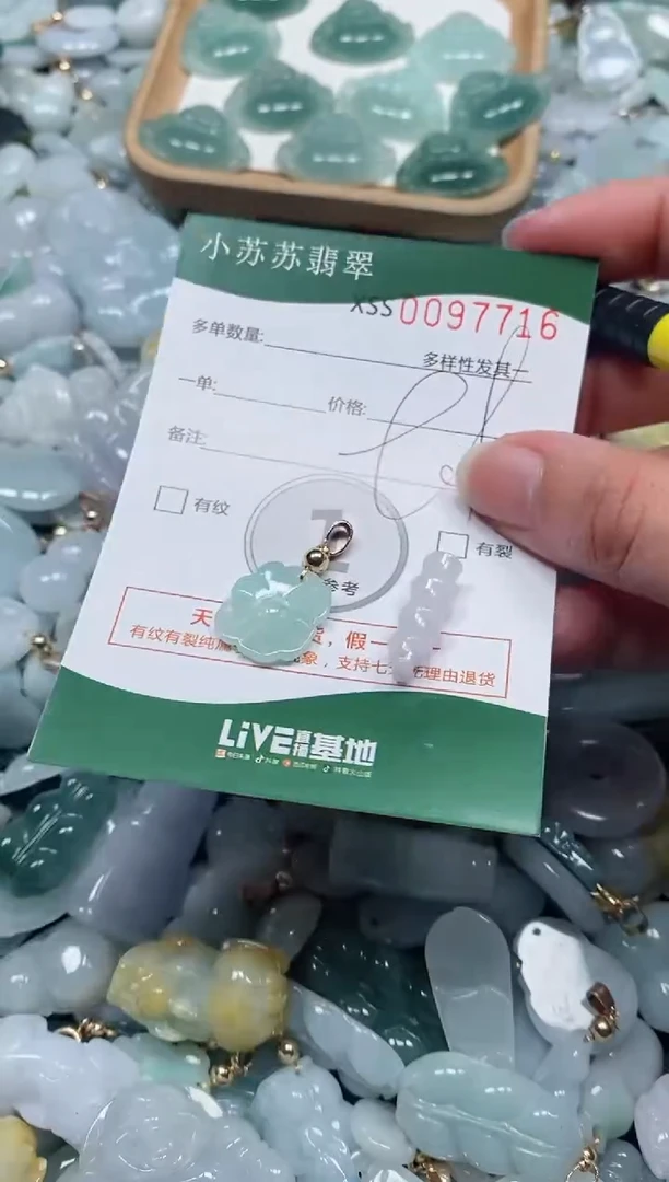 【闪购商品】翡翠颈饰未镶嵌闪购商品0097716