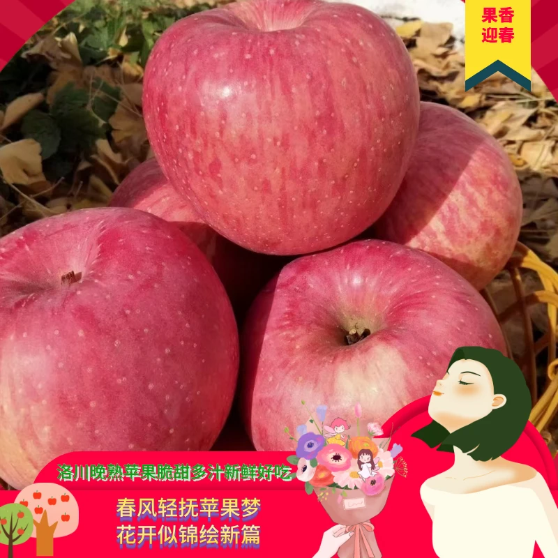 产地直发1【正宗洛川红富士苹果脆甜多汁新鲜好吃】