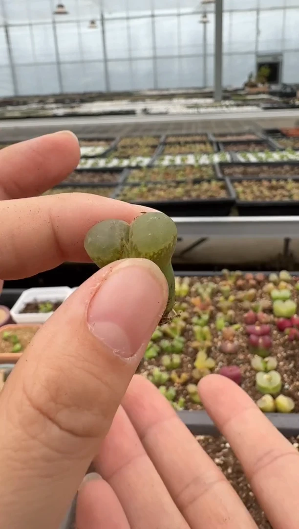 【闪购商品】6---7