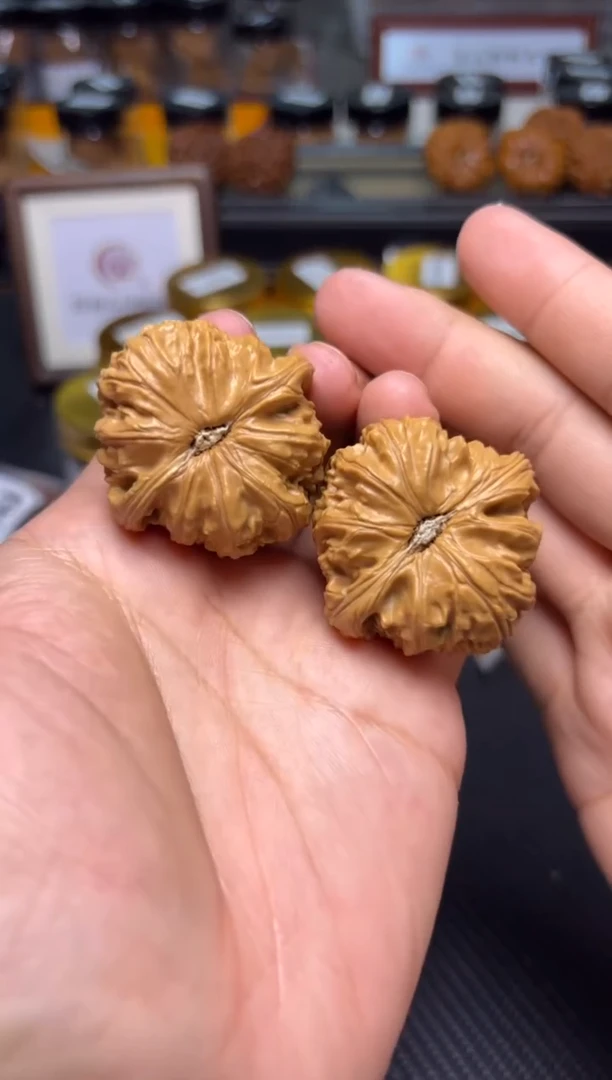 文玩核桃把件144白狮子40