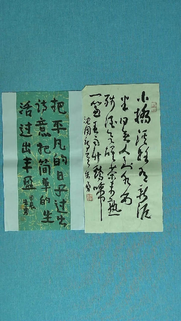 【闪购商品】书法226 安徽朱勇中书协69*26