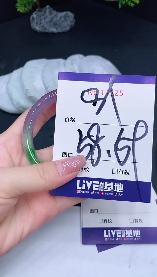 未镶嵌手镯翡翠11325