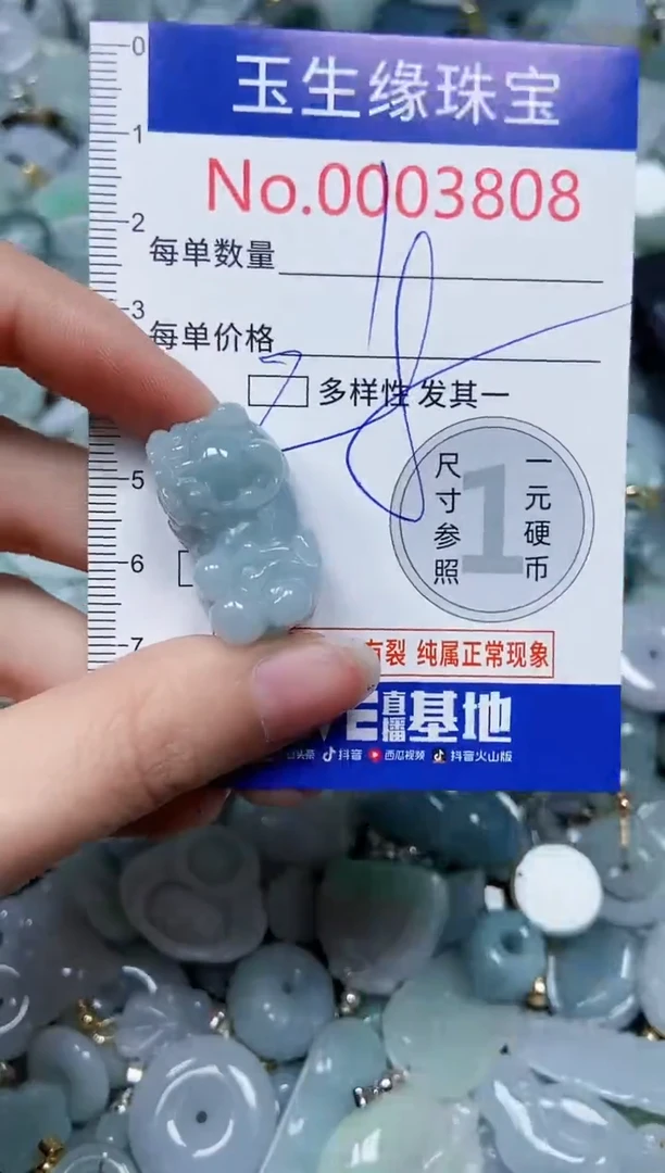 【闪购商品】翡翠颈饰未镶嵌闪购00003808