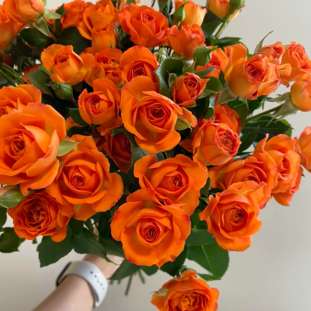 【花时汇】AB级橙色芭比多头玫瑰小众稀有高端花材次日达顺丰包邮