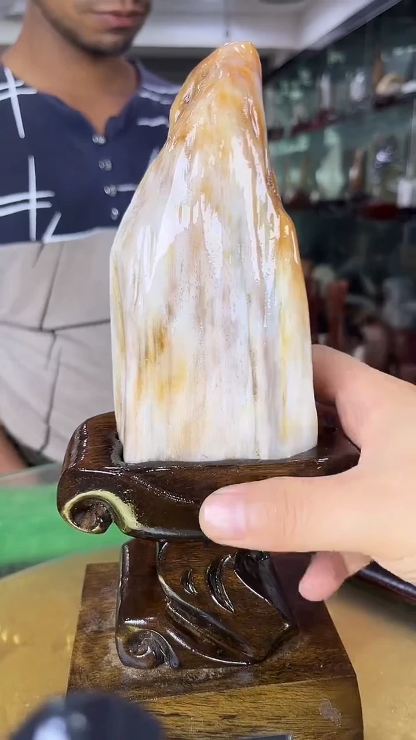 硅化玉珠宝奇石未镶嵌缅甸天然树化玉摆件