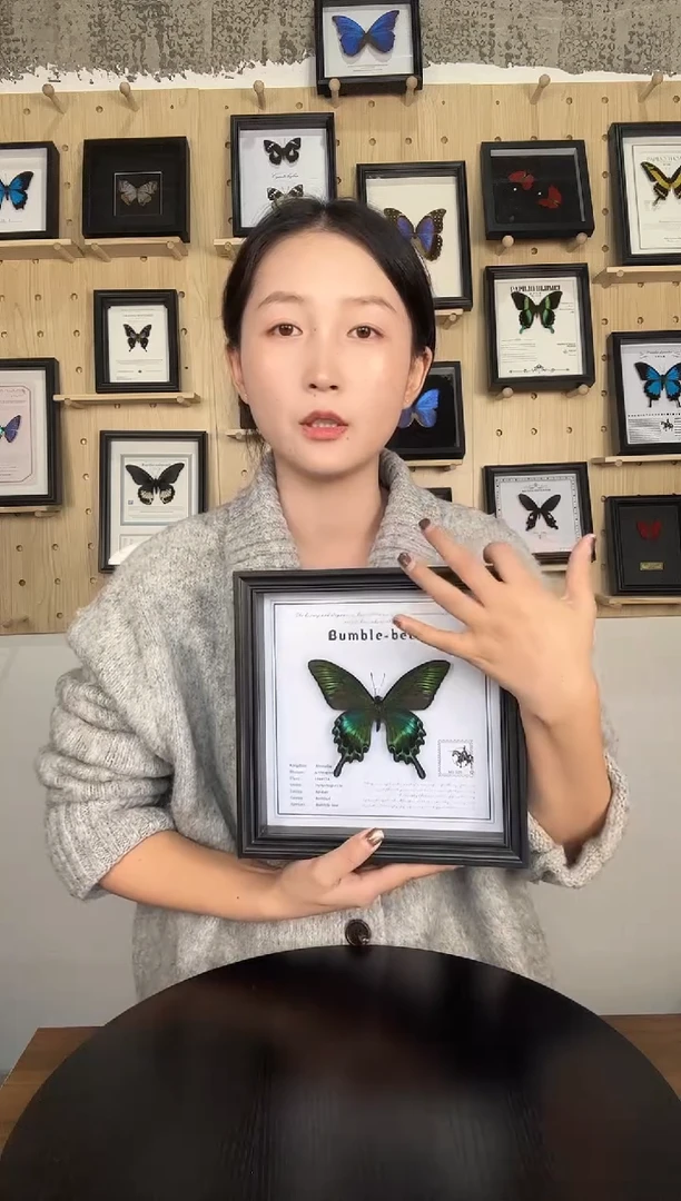 绿带翠凤蝶蝴蝶装饰画8寸框