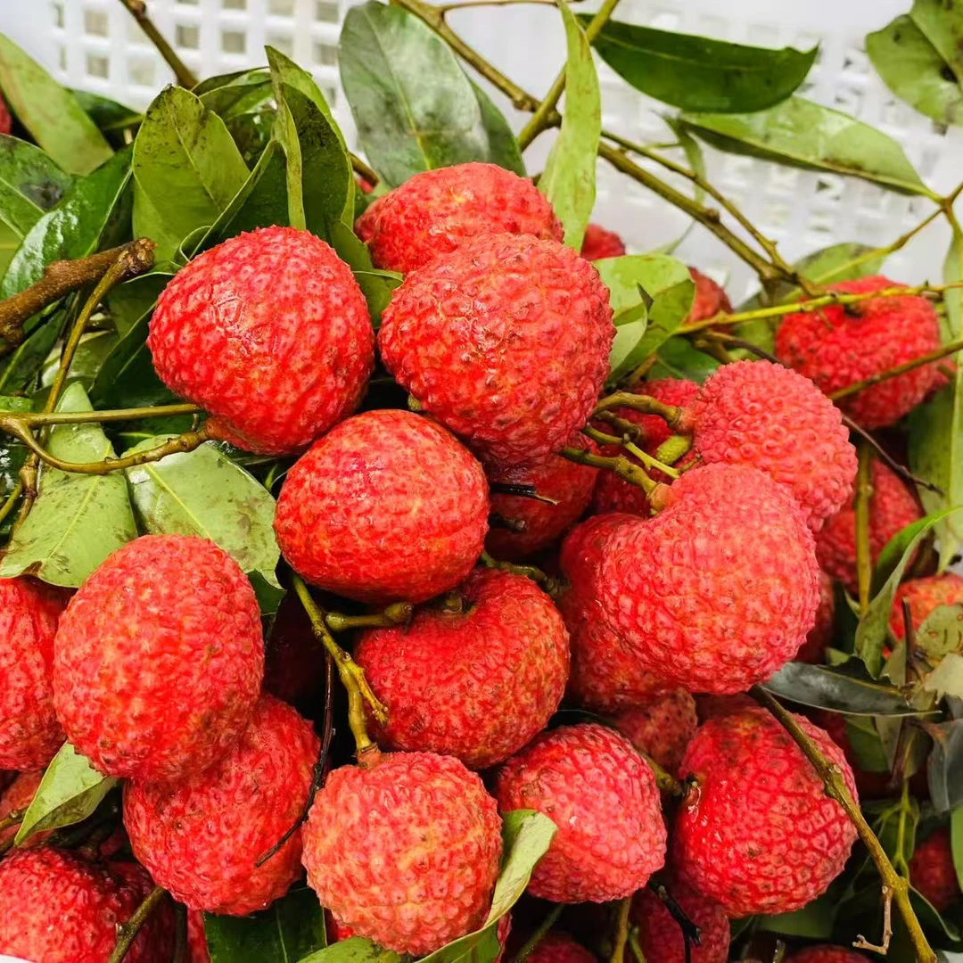 广西情人荔荔枝500克广西壮族自治区