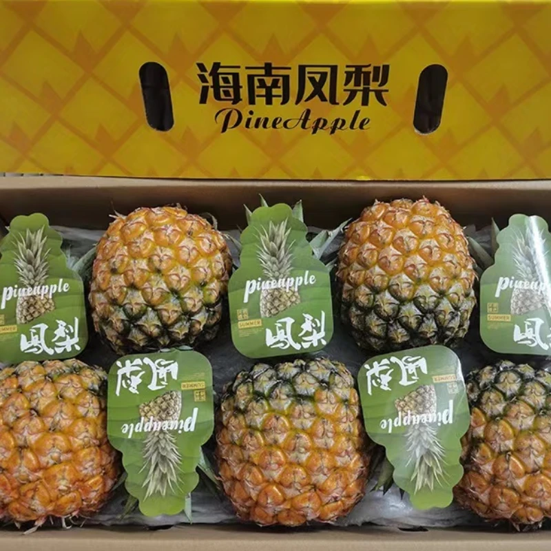 海南 芒果凤梨23号 树上自然熟 新鲜水果应季现摘顺丰包邮