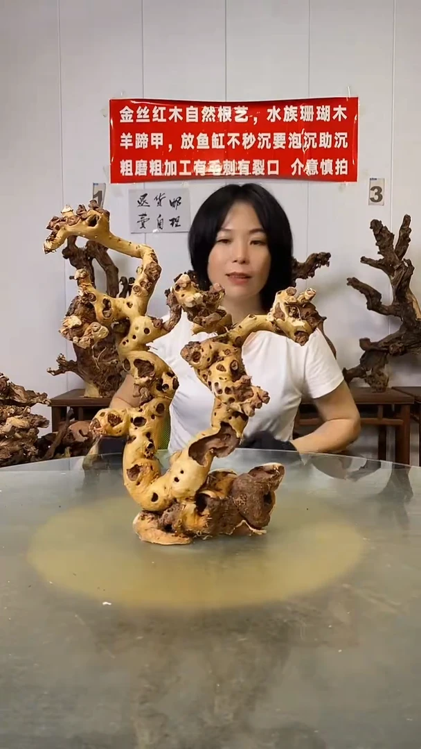 香榧木陈**语金丝红木   羊蹄甲