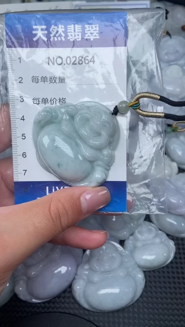 颈饰未镶嵌翡翠纯天然A货翡翠2864