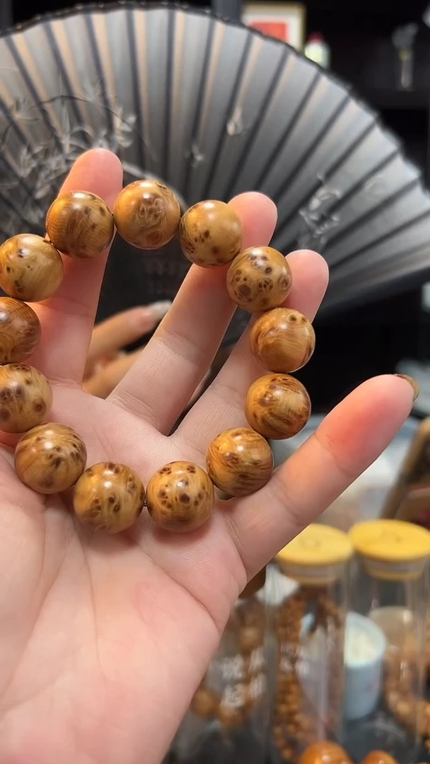 18瘤花圆珠太行太行