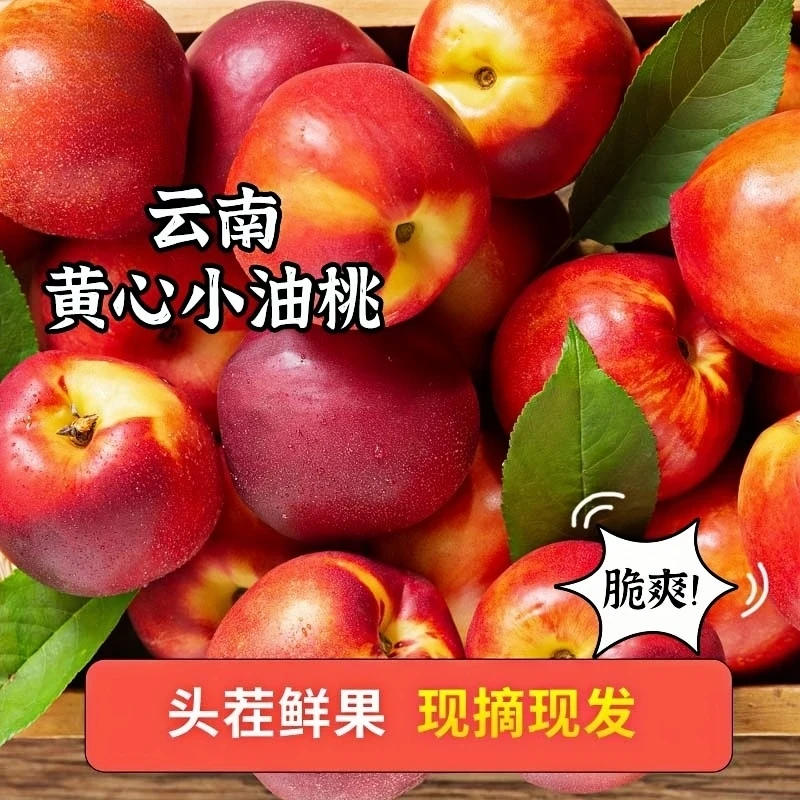 云南油桃高原产地直发酸甜多汁正宗黄心水果露天种植