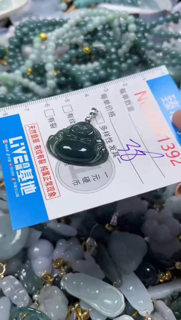 颈饰未镶嵌翡翠1392