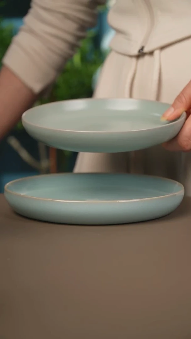 丰华碟大号17公分微暇