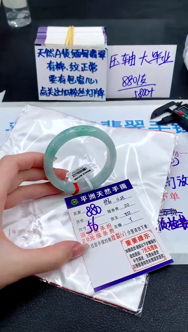 未镶嵌手镯翡翠111111111