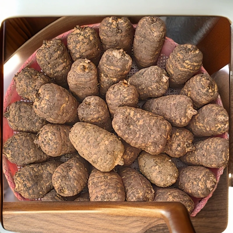 云南昭通小草坝天麻冬麻湿麻生鲜新鲜麻现采现挖产地直销