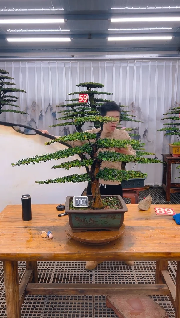 【闪购商品】紫砂精品盆景直播间一物一拍