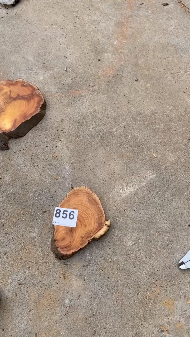 柏木（崖柏）太行陈化崖柏一片