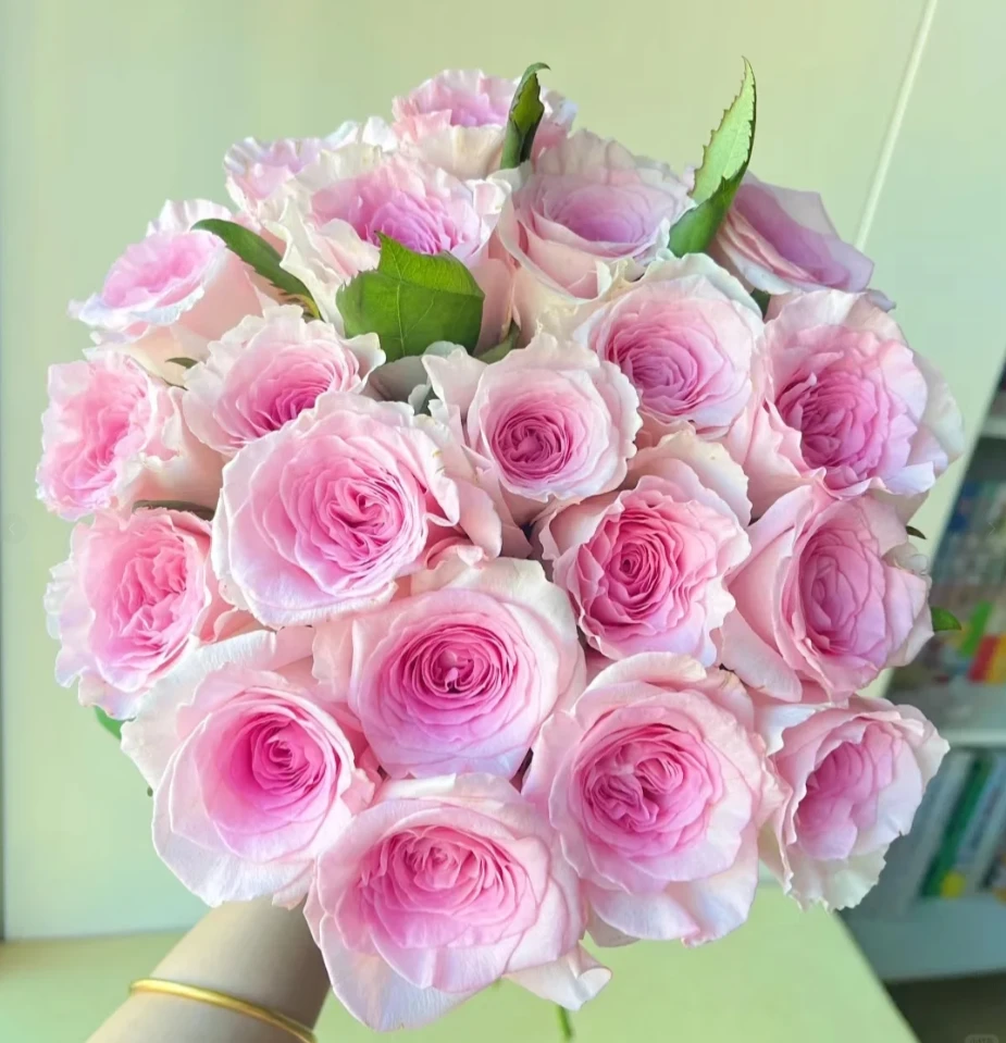 【1单包邮】洛神玫瑰  生活鲜花  昆明基地直发