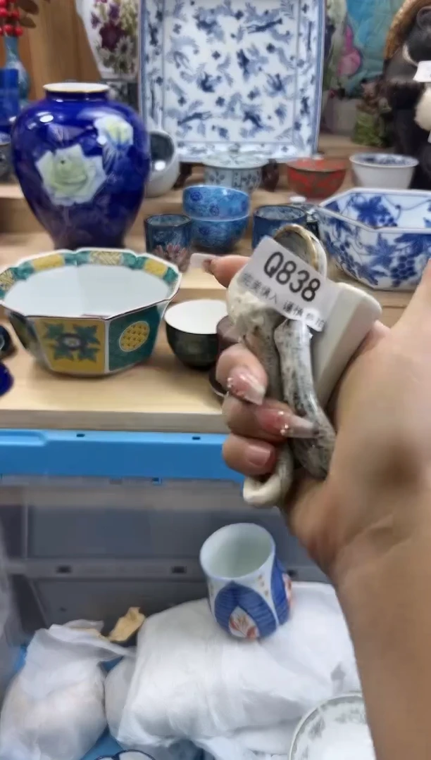 【闪购商品】瓷片838qqqqqqqqqqqq