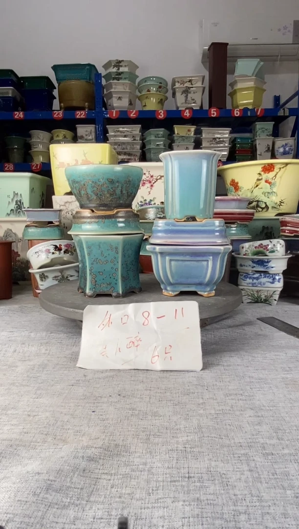 2410六只美人醉花盆