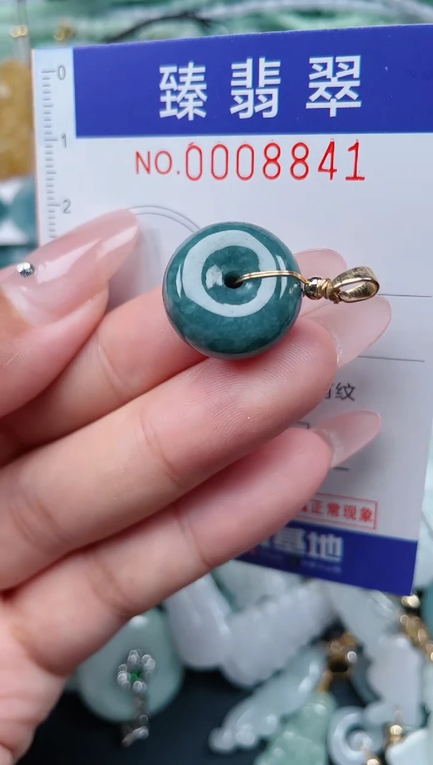 翡翠未镶嵌颈饰.0008841