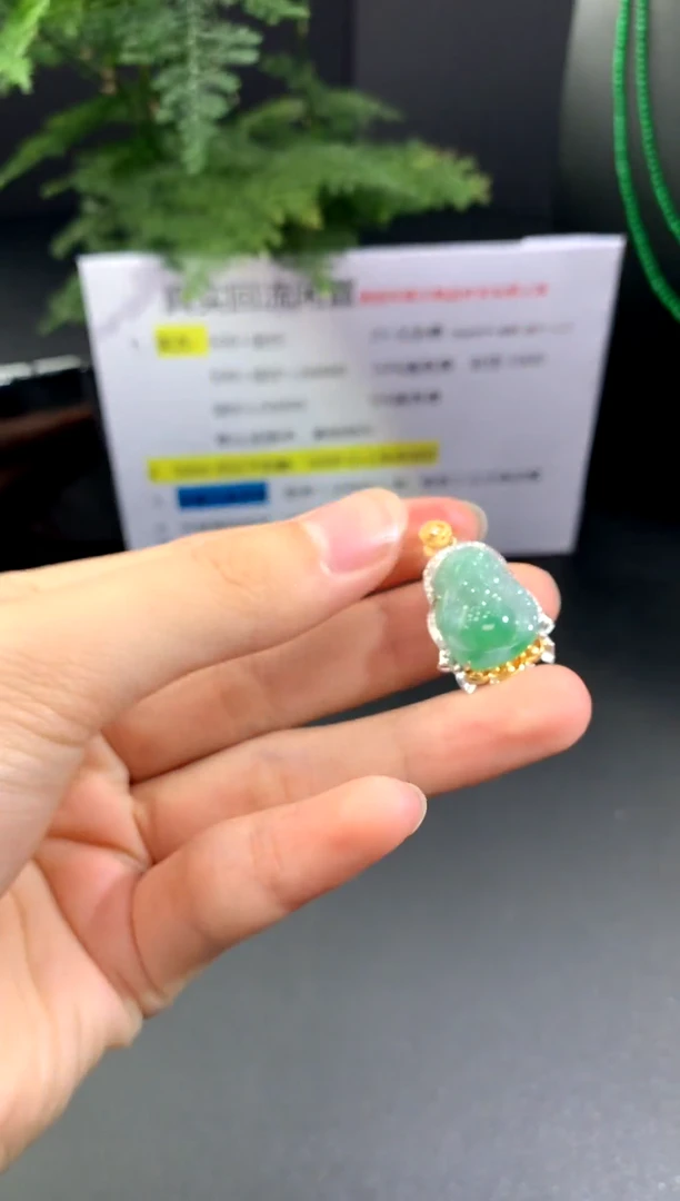 吊坠(不含链)18K金镶嵌翡翠A13 翡翠