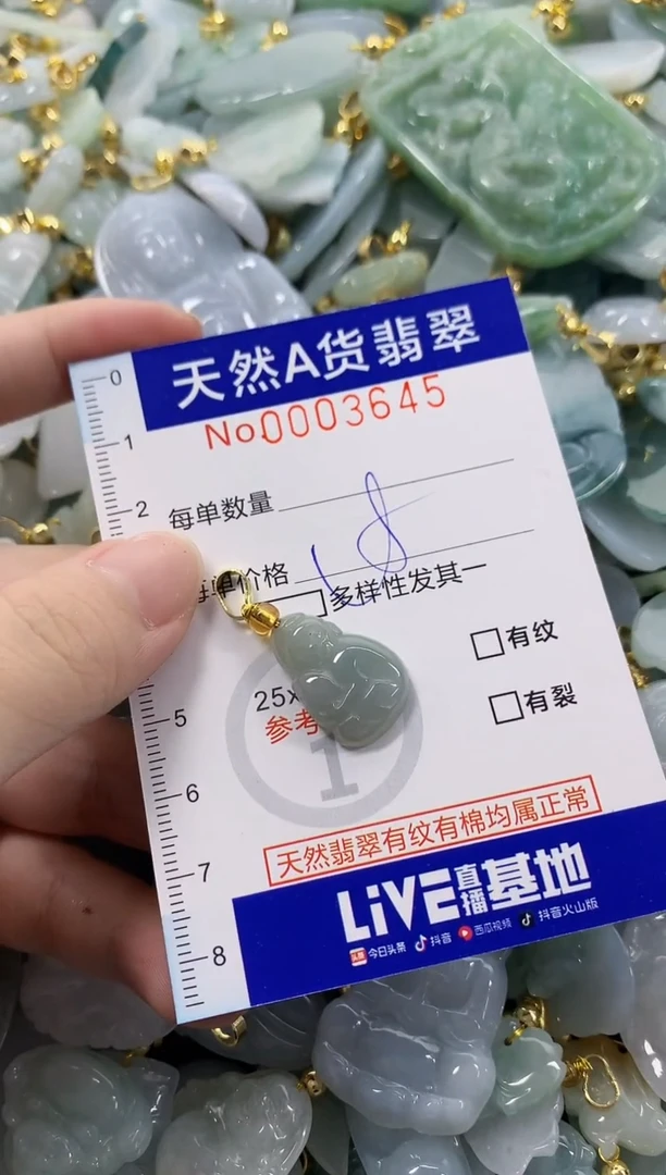 颈饰未镶嵌翡翠天然A货翡翠
