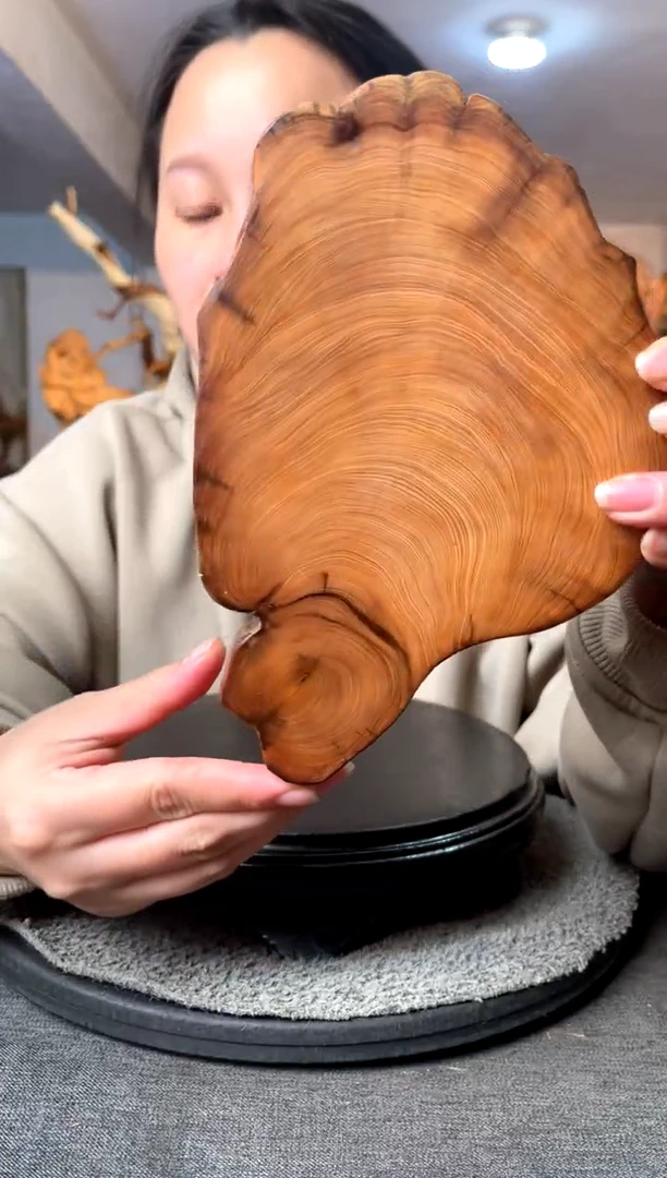 【闪购商品】柏木（崖柏）崖柏小件