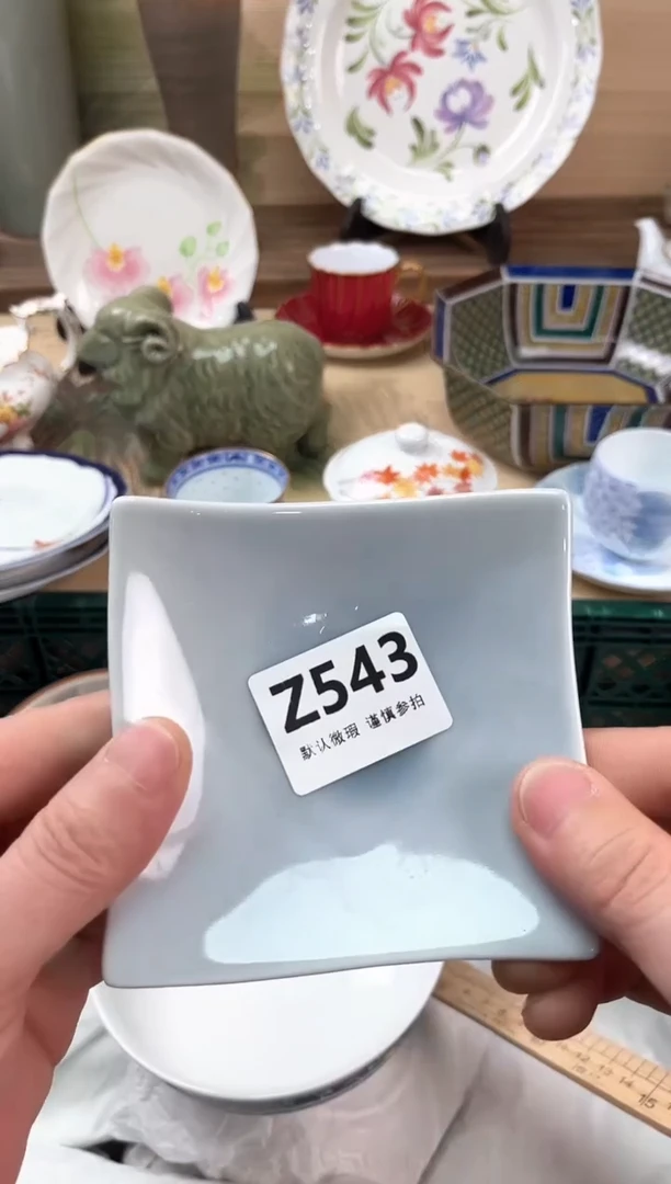 瓷片丹*543