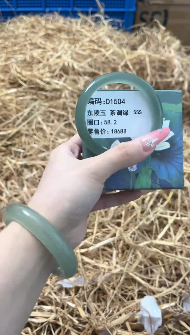 未镶嵌手镯石英质玉D1504