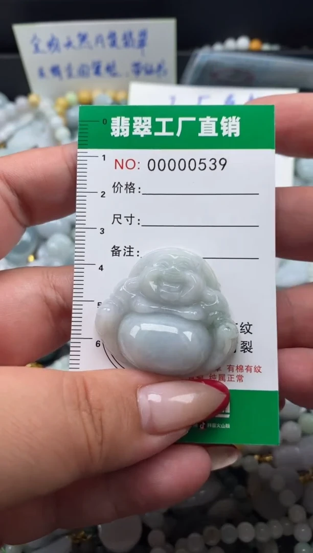 翡翠未镶嵌颈饰天然A货翡翠0539