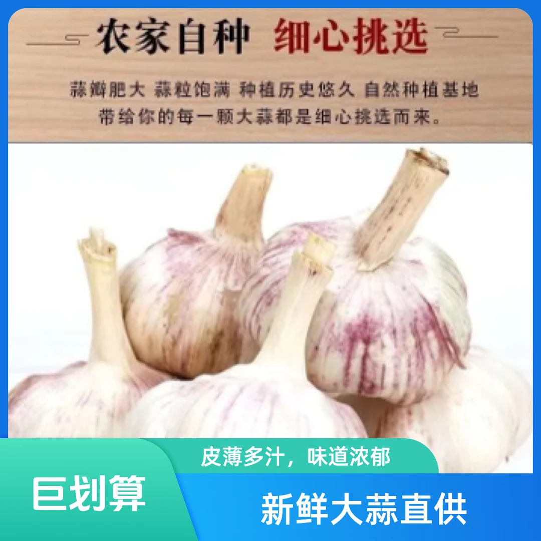 （2025年）自家种的大蒜，大蒜种，