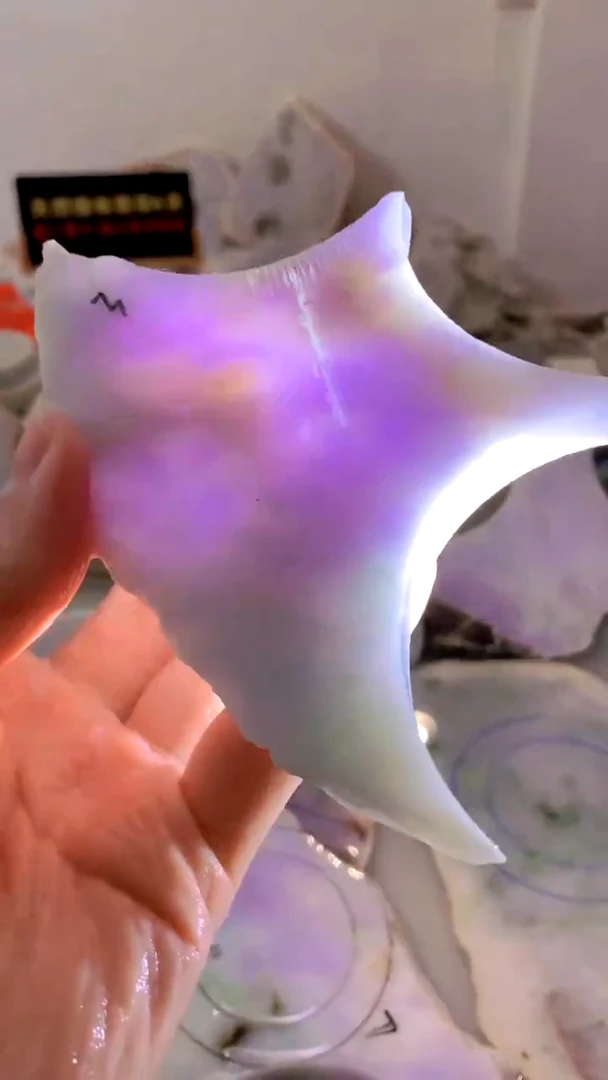 翡翠未镶嵌颈饰缅甸A货翡翠13