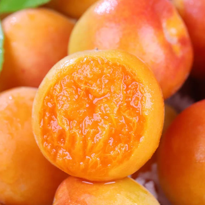 新疆空运吊干杏新鲜水果奶皇杏子2.8斤以上杏子浙江省