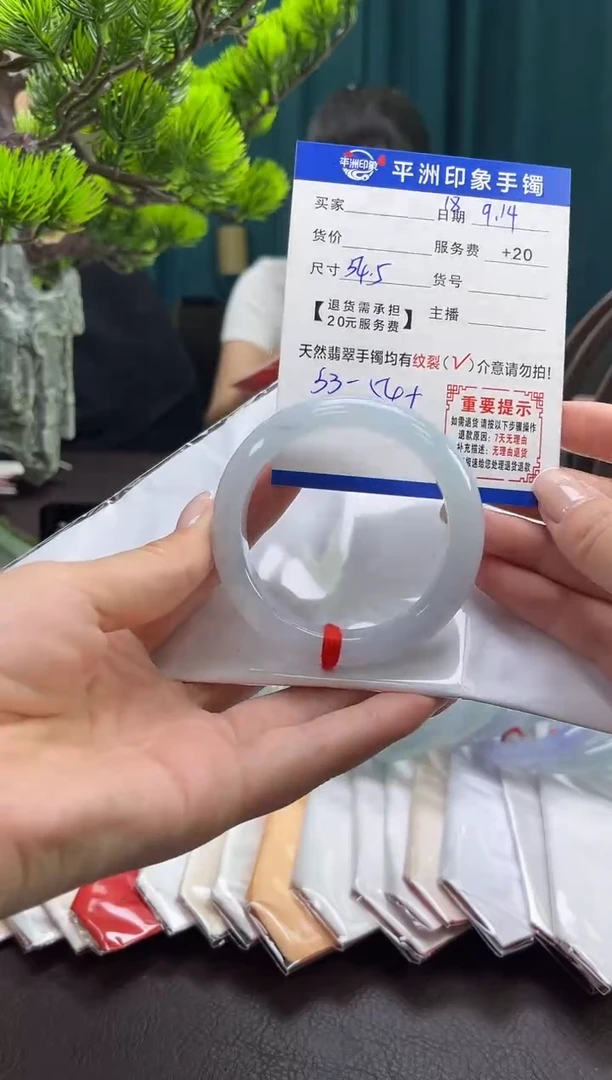 未镶嵌手镯翡翠(有鉴赏期)18