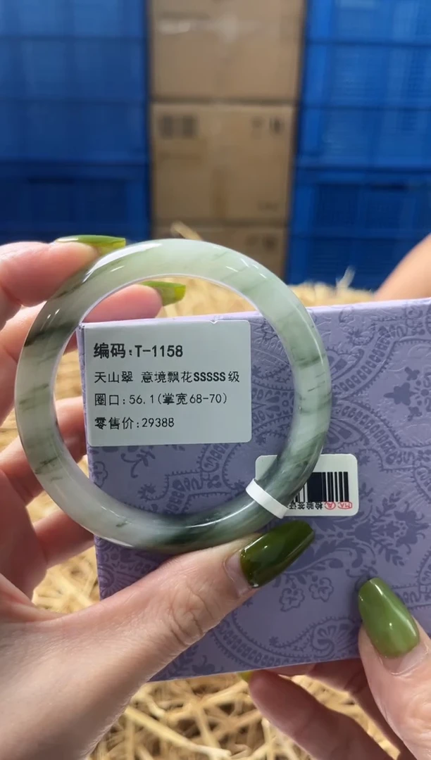 未镶嵌手镯石英质玉T1158