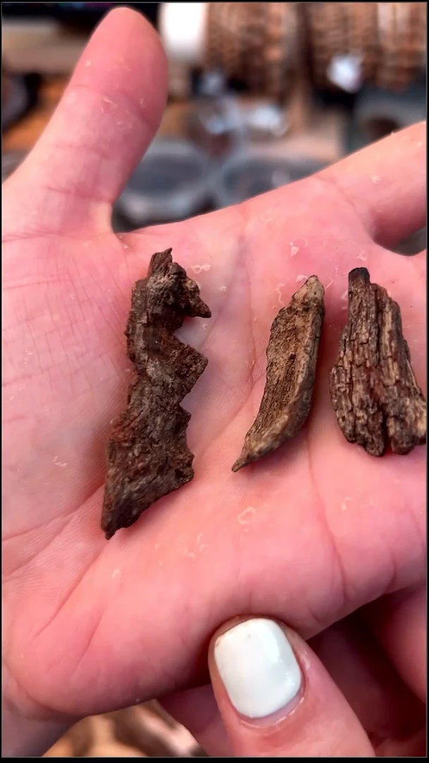 沉香碎屑沉香富森红土3.66g 碎料