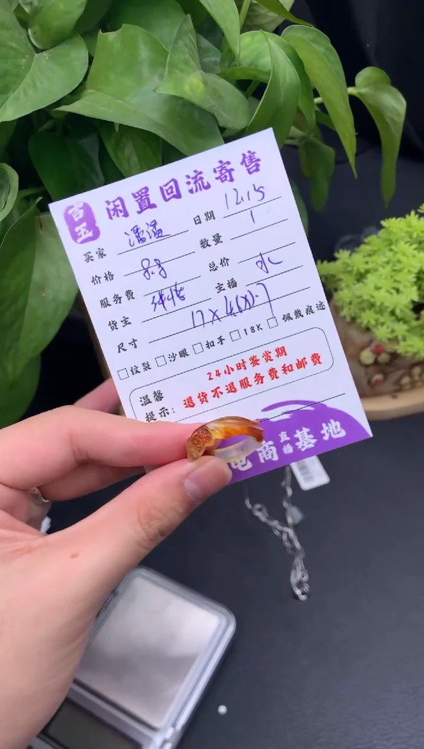 未镶嵌戒指翡翠❥****✨戒指