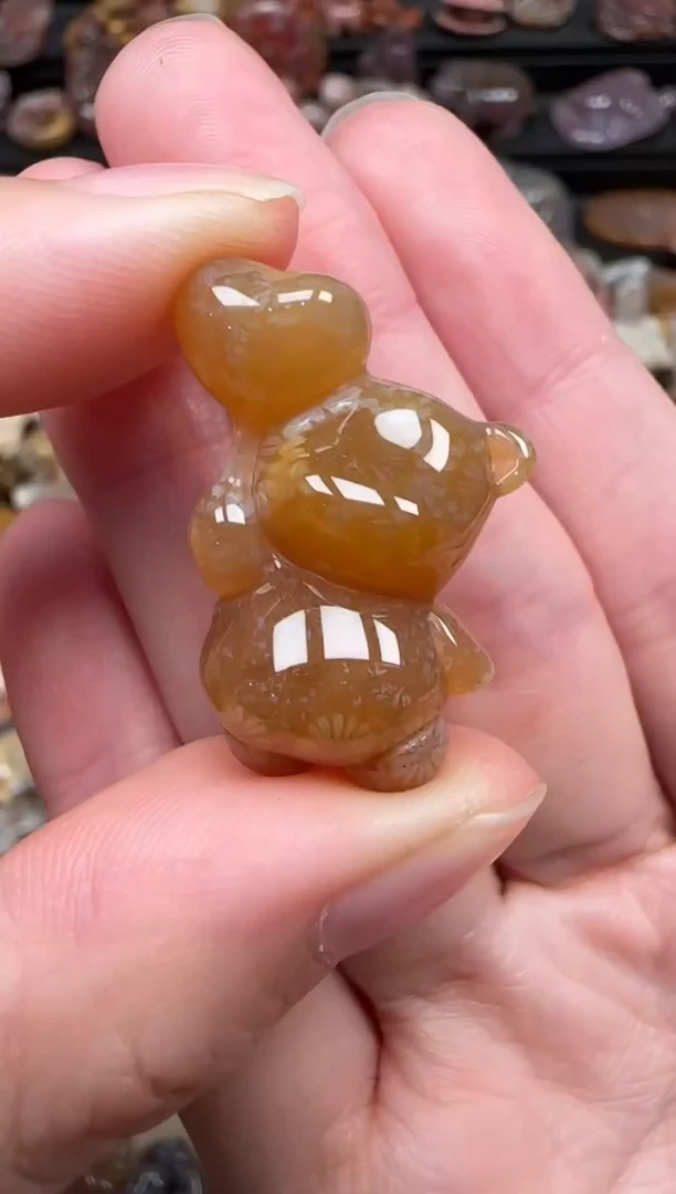 颈饰未镶嵌硅化珊瑚（珊瑚玉）362