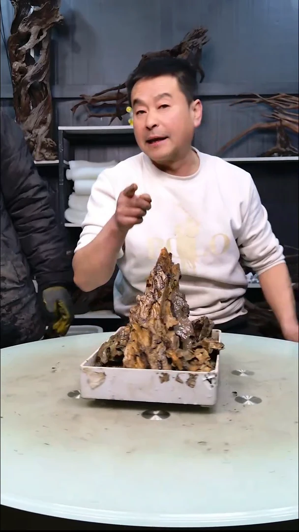 369清香阁清香阁清香阁