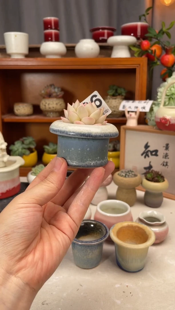 瓷片436小芳直播编号