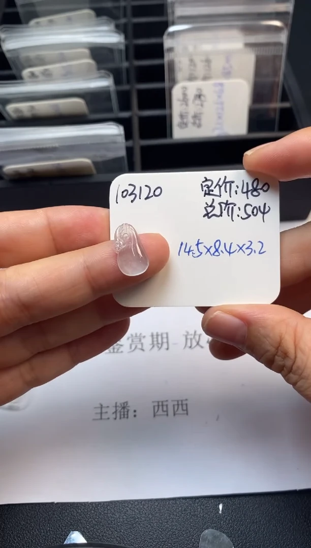 吊坠(不含链)未镶嵌翡翠103120