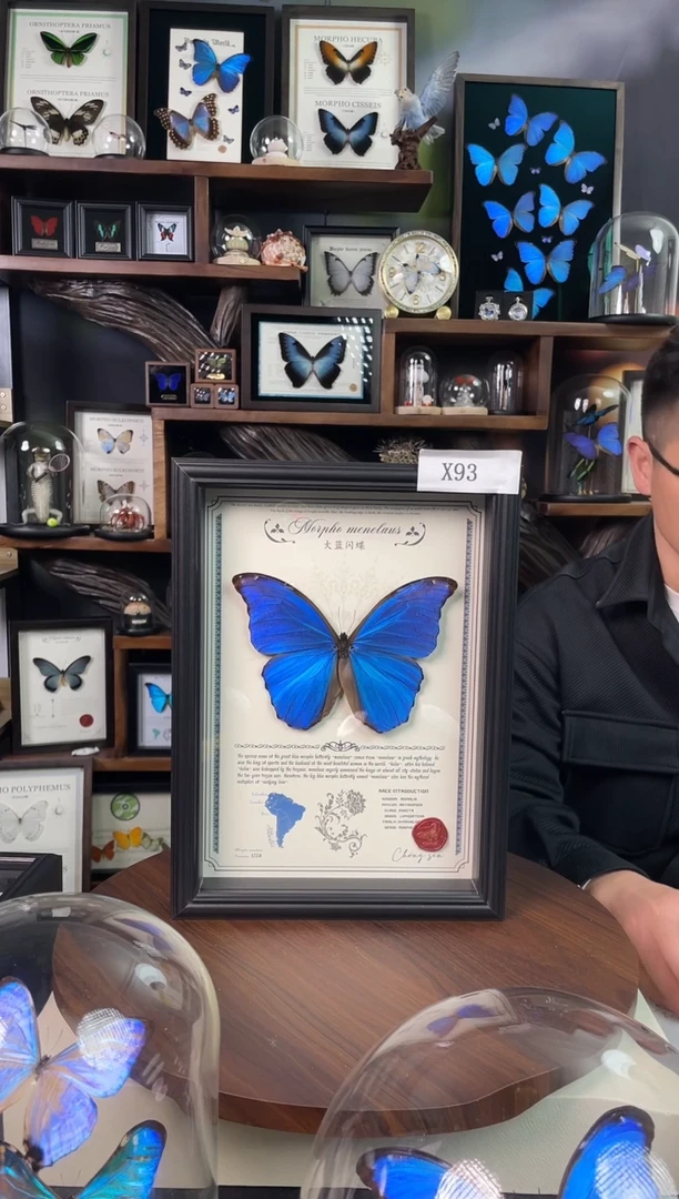 大蓝闪蝶-豪华版【A4欧式框】X93