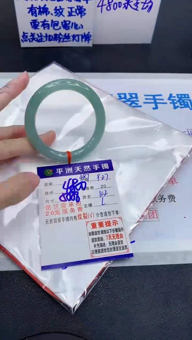 未镶嵌手镯翡翠1