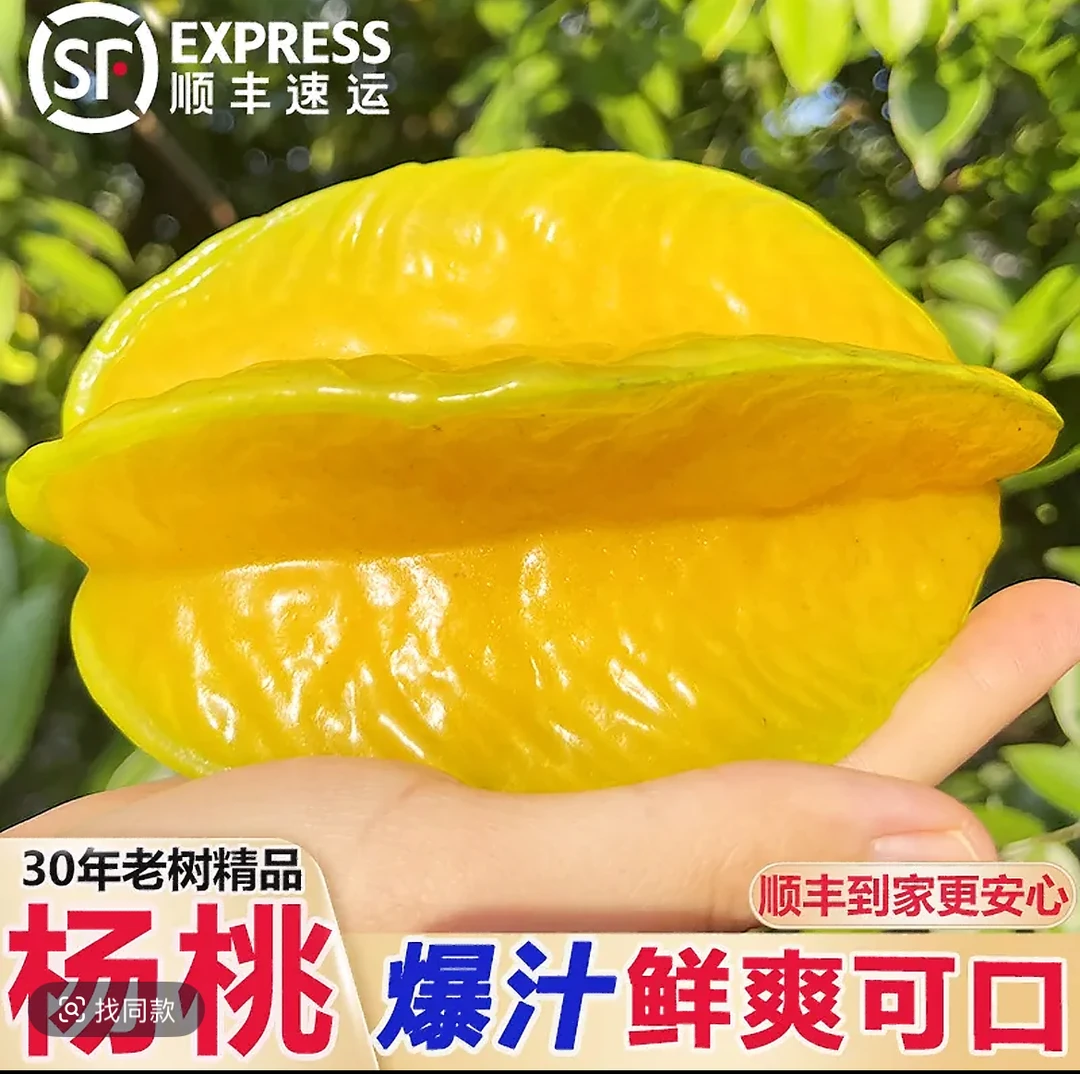 广东增城新鲜杨桃当季热带水果清甜多汁【现摘现发】顺丰包邮