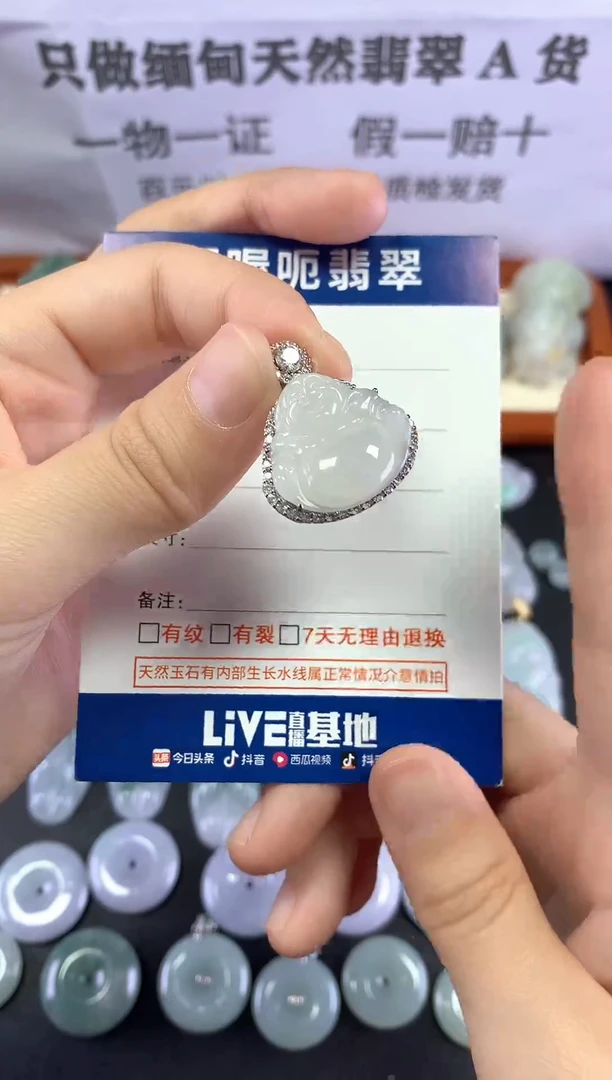 翡翠未镶嵌颈饰1